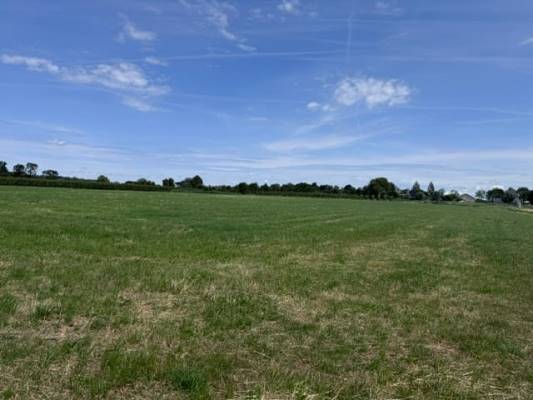 Agrarische grond Waalseweg Tull en 't Waal