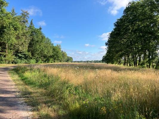 Agrarische grond Brugseheide Valkenswaard