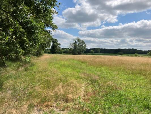 Agrarische grond Brugseheide Valkenswaard
