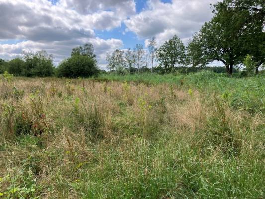 Agrarische grond Bruggerhuizen Leende