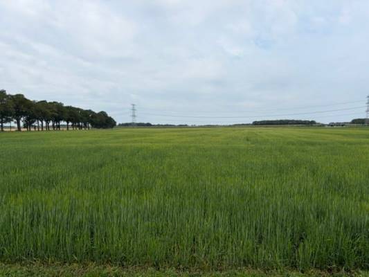 Agrarische grond Slenerweg Emmen