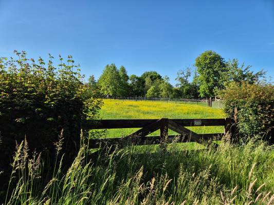 Agrarische grond Zeumerseweg Voorthuizen