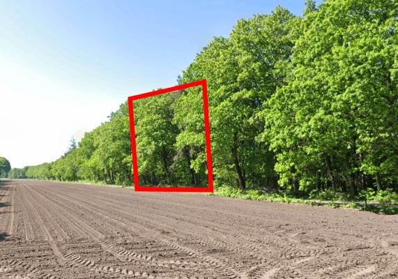 Agrarische grond Hanendorperweg Emst