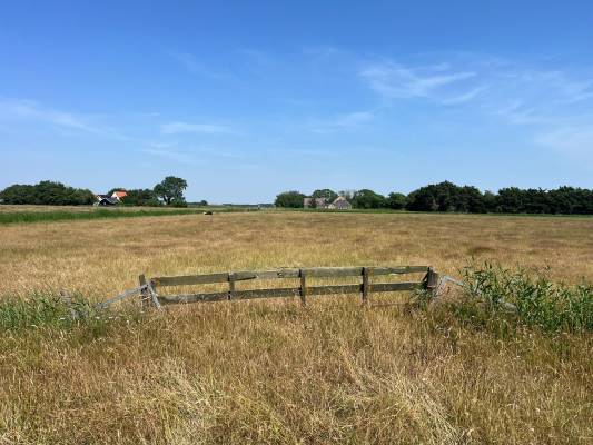 Agrarische grond Percelen grasland aan Pontweg Den Burg