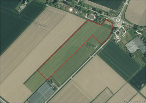 Agrarische grond Polderweg Mijnsheerenland