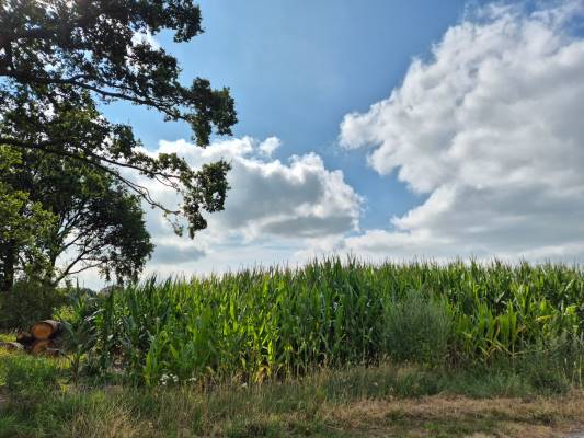 Agrarische grond Hessenweg Achterveld (UT)