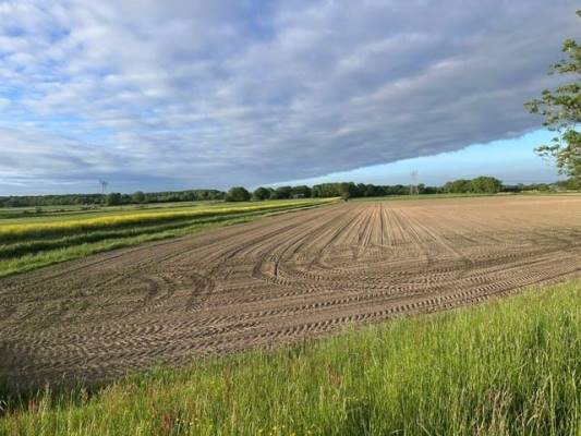 Agrarische grond Kadoelerweg Sint Jansklooster