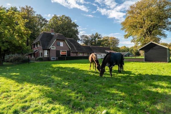 Agrarisch bedrijf Beilerweg 22 Hooghalen