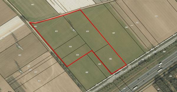 Agrarische grond Tramlaan/Rijksweg Maasbracht