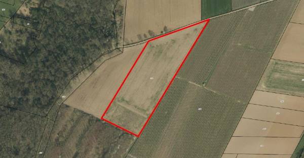 Agrarische grond Maarlanderweg Sint Geertruid