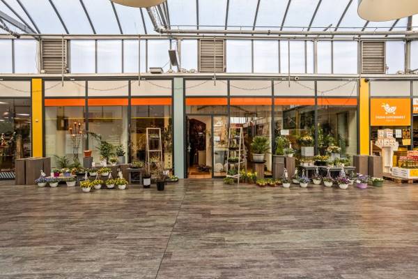Winkelruimte Penningkruid 28 Kampen