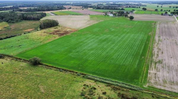 Agrarische grond Klein Zundertseweg Sprundel