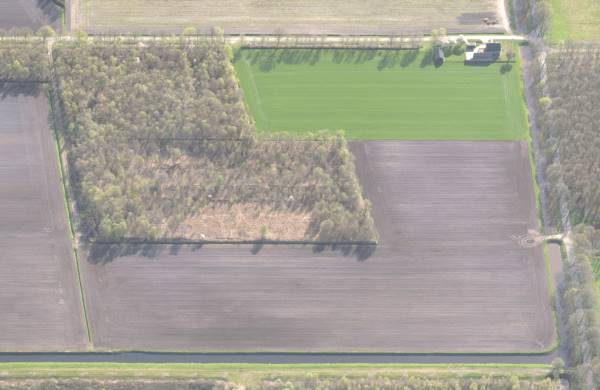Agrarische grond Steigerwijk Nieuwlande