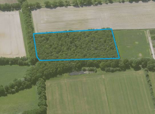 Agrarische grond In Het Spiek Rijkevoort