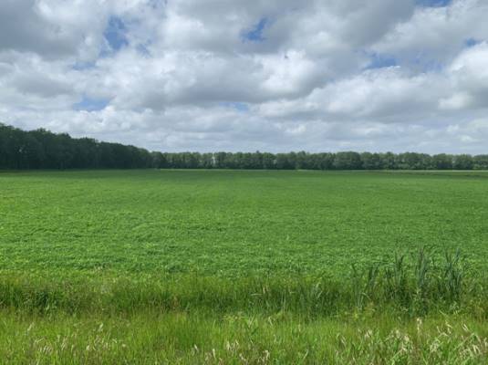 Agrarische grond Bûtewei 61 Wijnjewoude