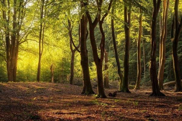 Agrarische grond Paleisweg Ermelo
