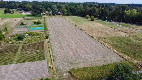 Agrarische grond Oude Diedenweg Wageningen