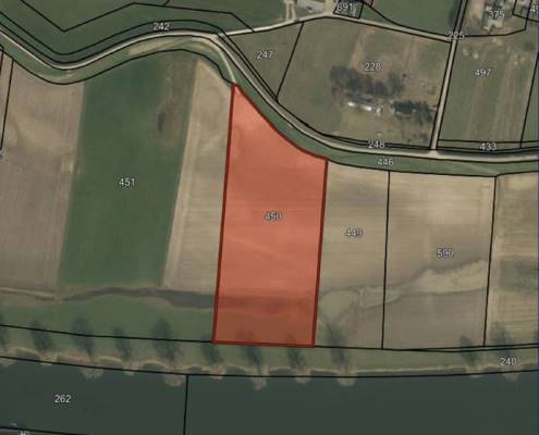 Agrarische grond Maasdijk Nederasselt