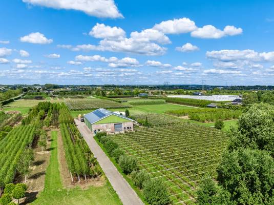 Agrarisch bedrijf Kalkestraat 34-D Dodewaard