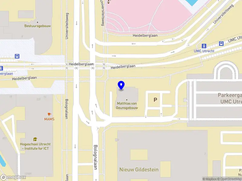 Stichting 29th ECNP Congress