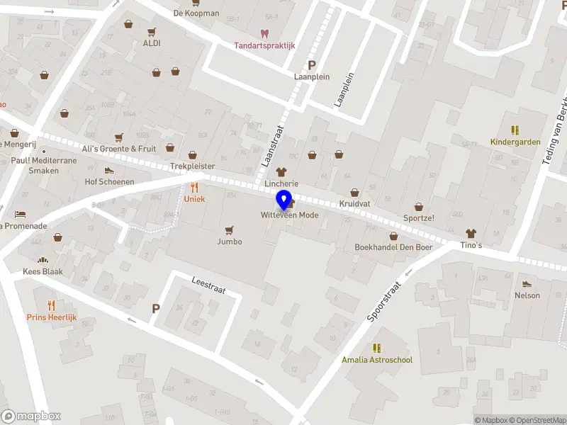 Stichting Woon- Zorgflat Brandsen