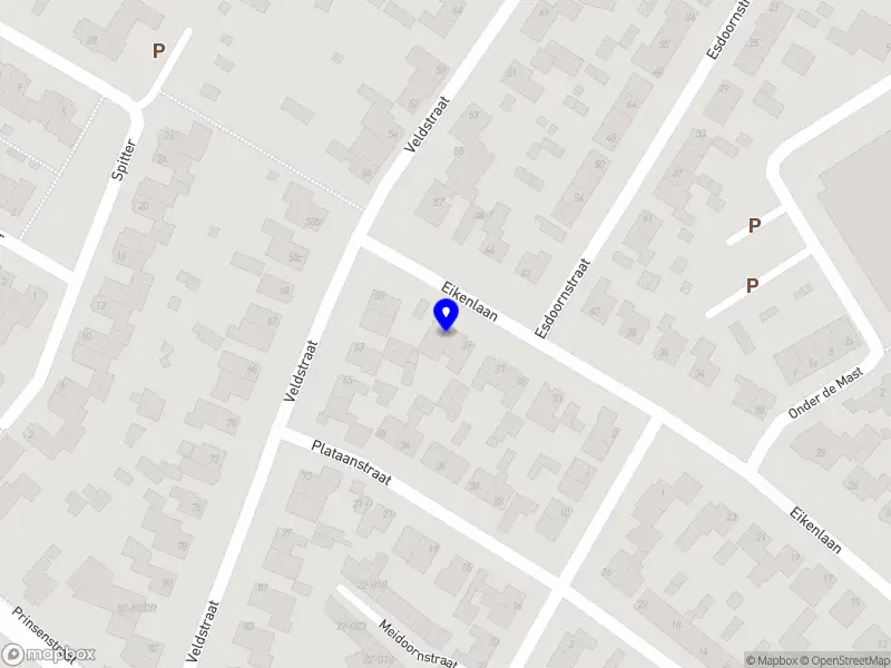 Stichting Muntsysteem Zundert