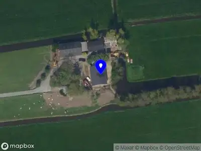 Leeuwis tuinaanleg & bestratingen