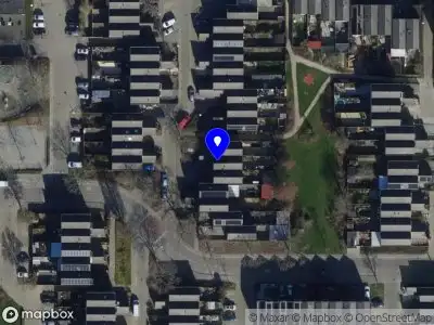 Black Sheep Honey Rollers