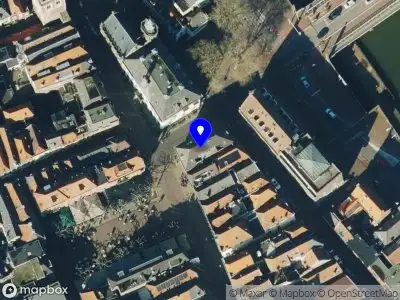 Vlindervlucht Coaching