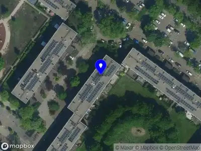 Ormanci Amsterdam