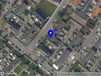 Nieuw bedrijf Marieke van der Vlies Design & Illustratie