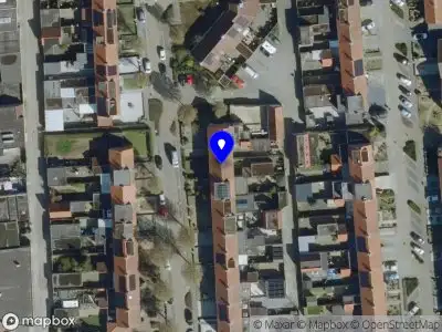 SHE lashes and brows