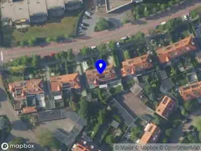 Niehe interim bestuur en management