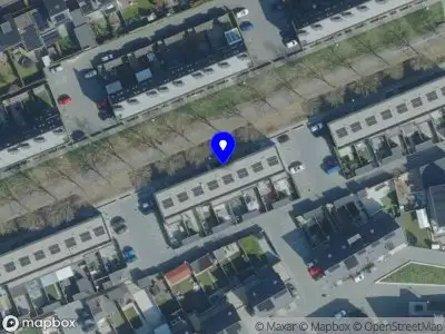 Best Buddy Hondenuitlaatservice