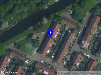 Domilingua Dominika Kolejnik Amsterdam