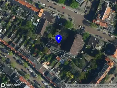 de elfde muze Haarlem