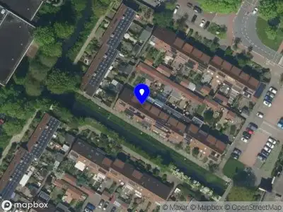 Tanja Francis interim professional.