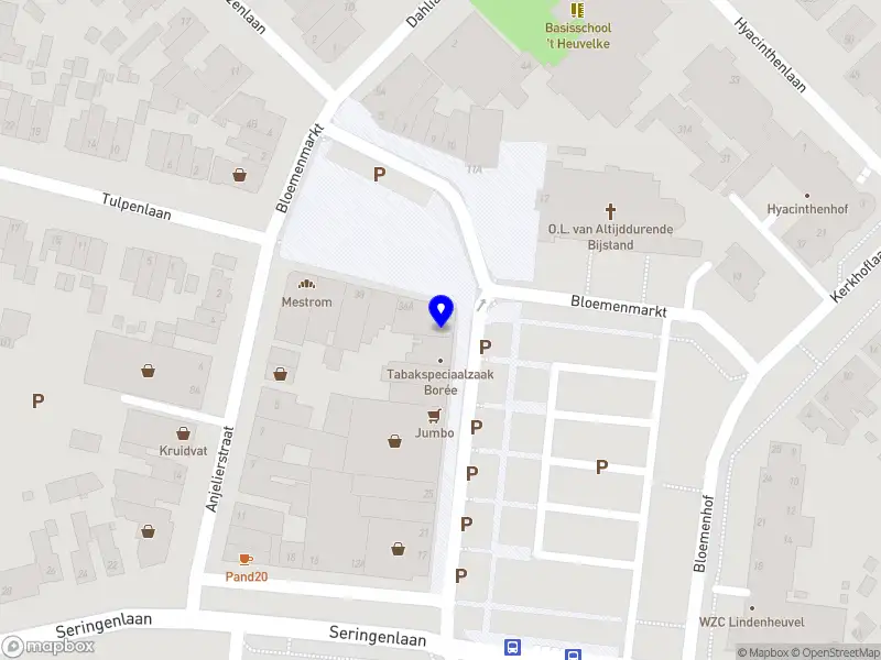 Baranczyk Sneltransport