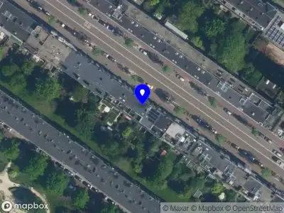 Vital Movement Training