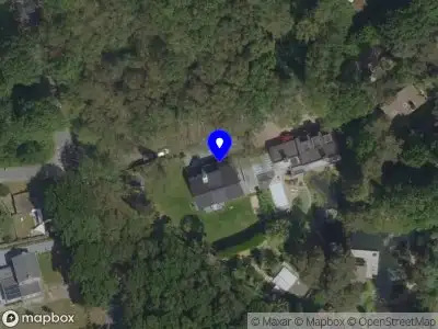 In Vivo Training & Advies