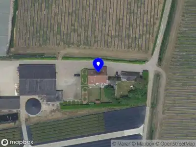 TOPBUXUS B.V. STRIJBEEK