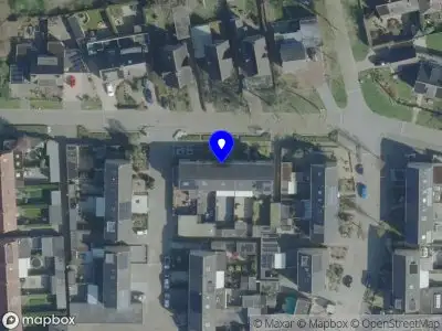 Tarimer Market Oss