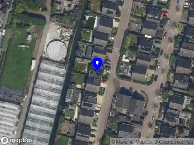 Nieuw bedrijf Pino & Co.