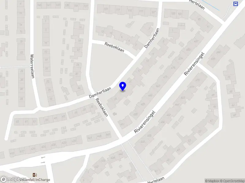 Nieuw bedrijf Robin Buddendijk