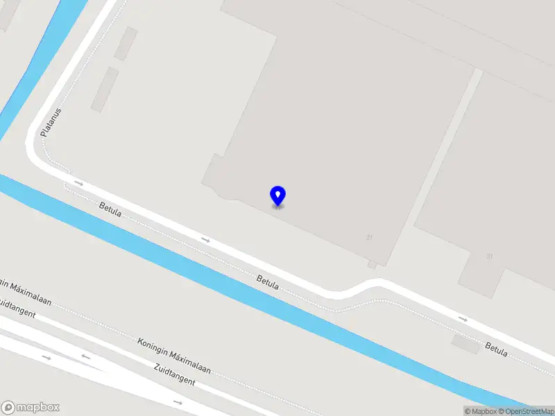 Nieuw bedrijf The Floral Connection B.V.