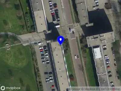 The Translator's Den