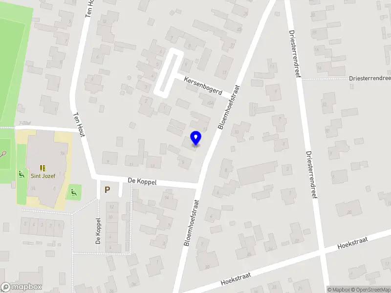 Struijcken Chauffeursdiensten