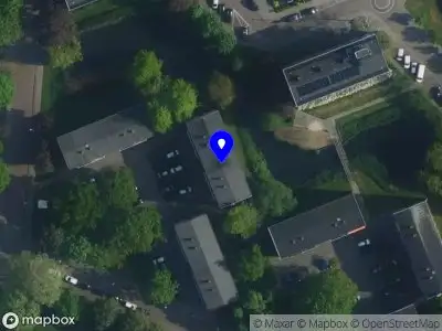 Timea Lelik Art Consultancy