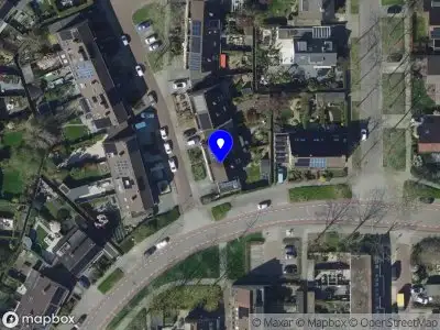 Gerard de Wit Musicus