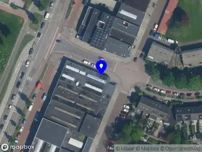 Stichting Amsterdamse Zwerfkatten Amsterdam